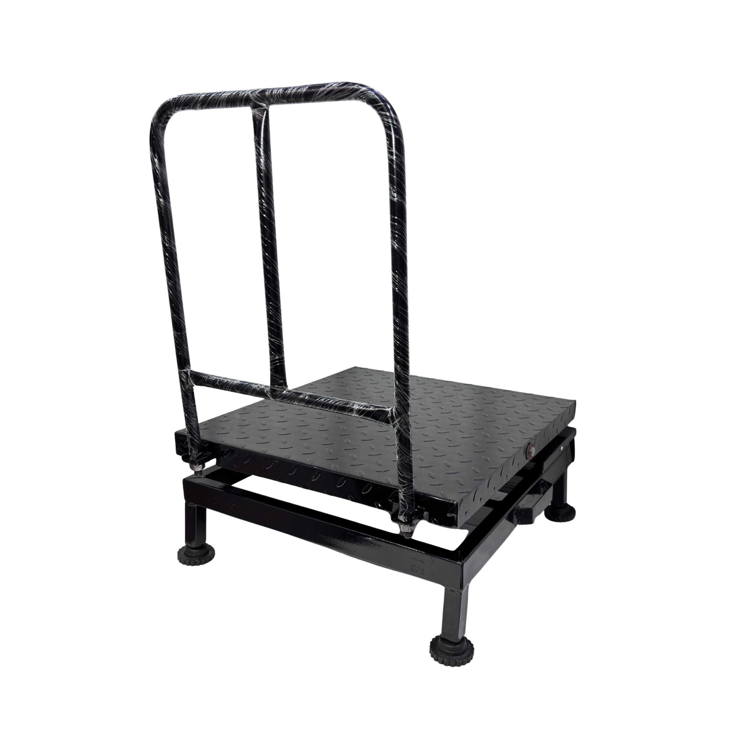 MS Portable Scale
